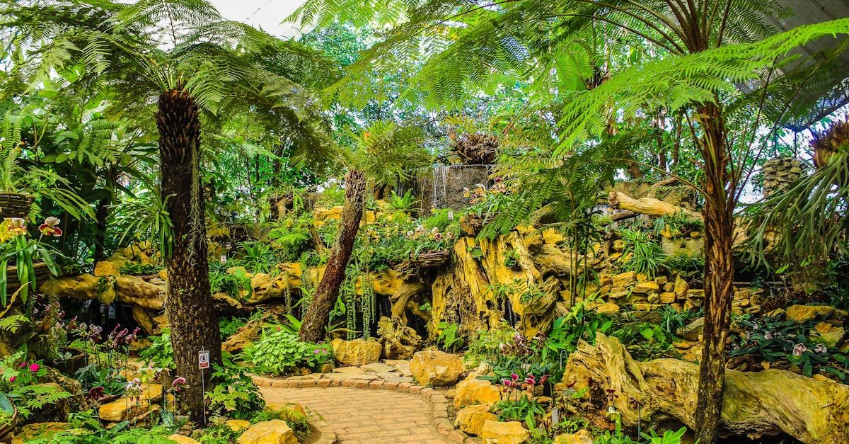 Achieving Balance through Proportion and Scale