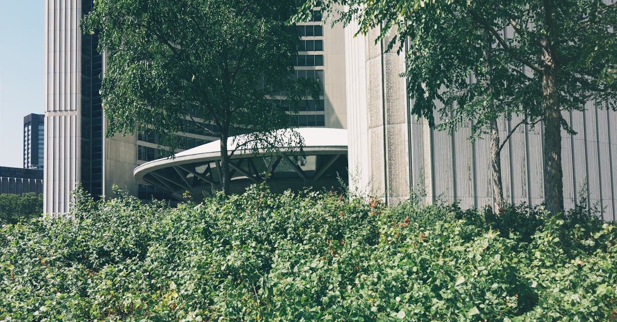 Achieving Naturalistic Beauty with Asymmetrical Design in Gardens