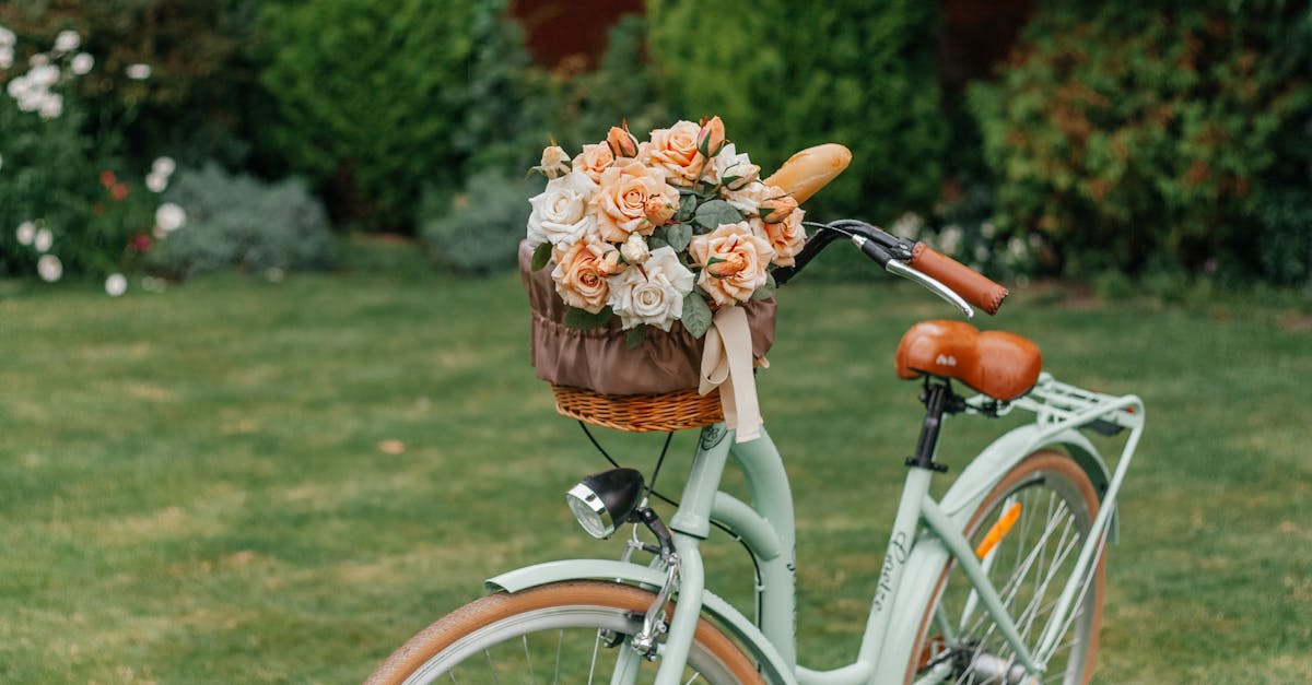 Creating Focal Points in Landscape Design