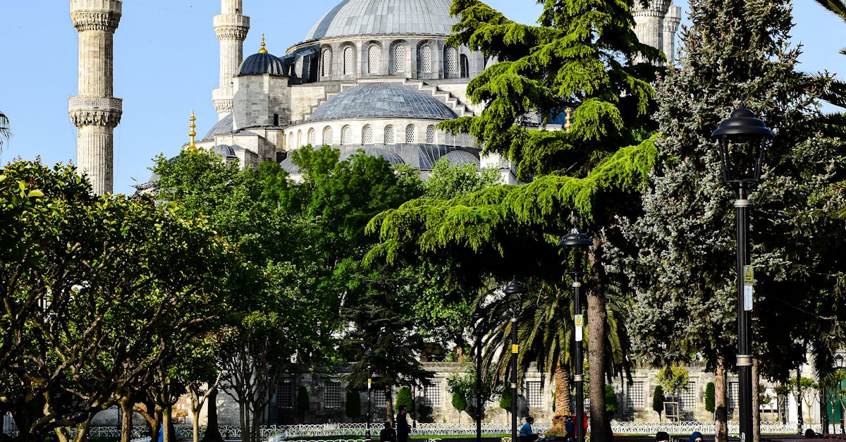 Creating Harmony with Asymmetrical Design in Garden Landscapes