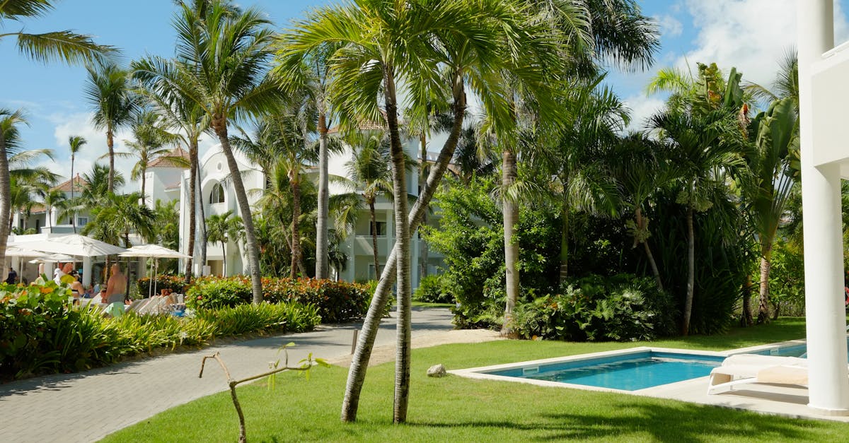 Designing Focal Points for Different Garden Styles