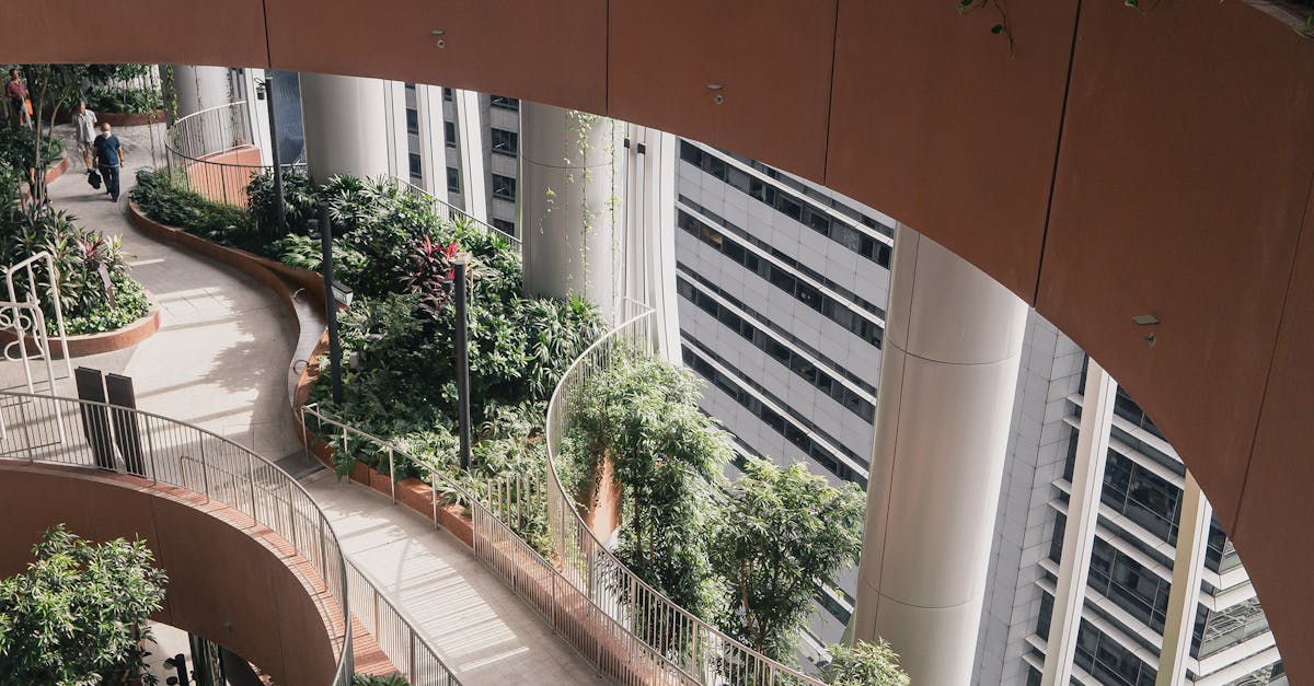 Enhancing Aesthetics Through Asymmetrical Design in Landscaping