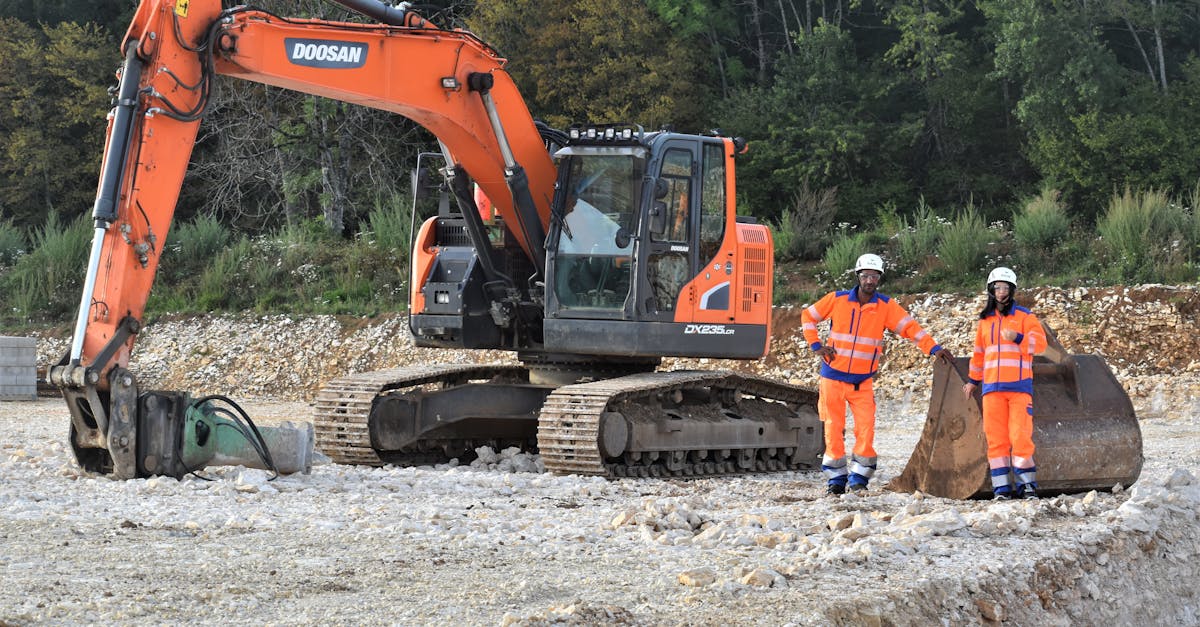 Enhancing Unity Through Colour in Garden Design