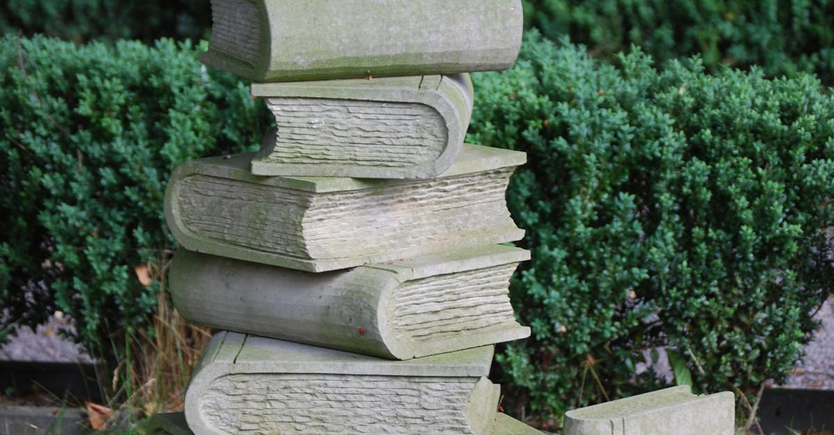 Exploring the Impact of Radial Balance on Garden Visuals