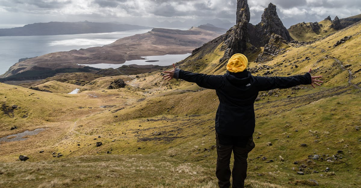 Implementing Radial Balance Techniques in Landscape Gardening