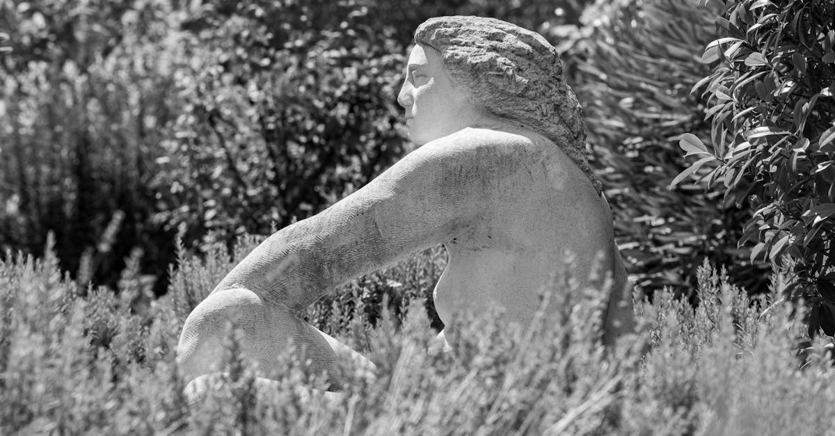 Importance of Proportion and Scale in Landscape Gardening