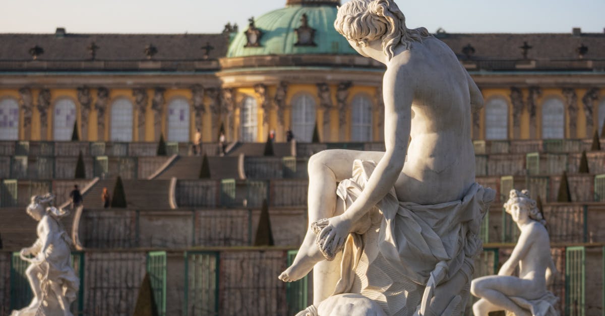 Incorporating Focalization with Hardscape Features