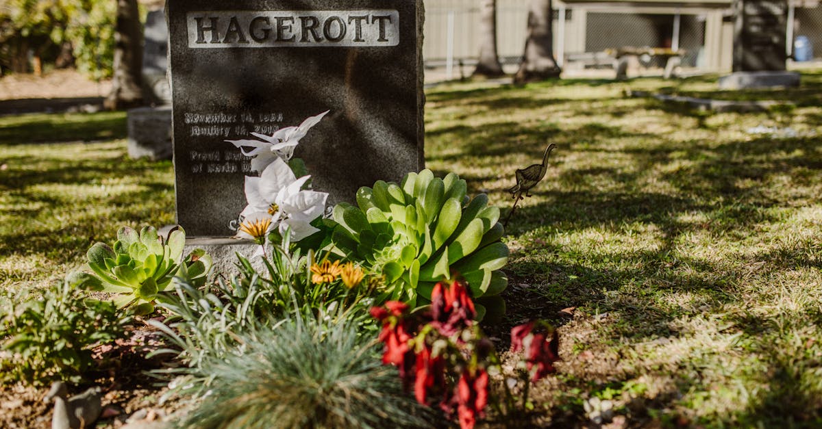 Principles of Symmetrical Design in Landscape Gardening