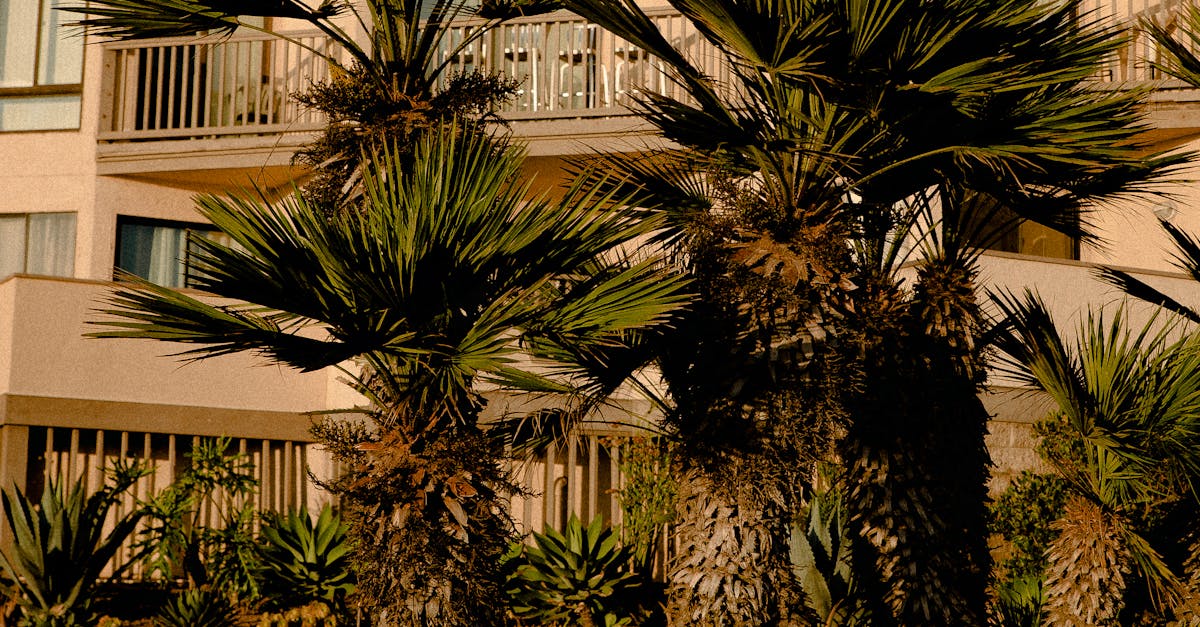 Proportion and Scale: Key Elements of Harmonious Garden Design