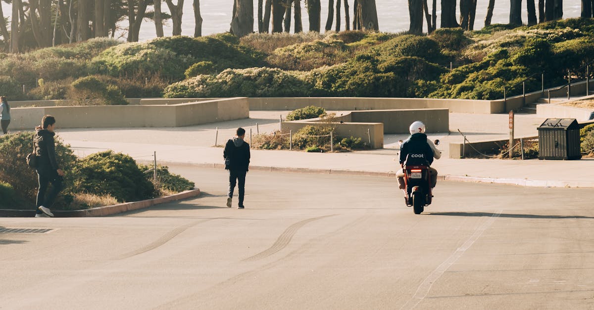 Radial Balance in Landscape Gardening: Design Tips and Tricks