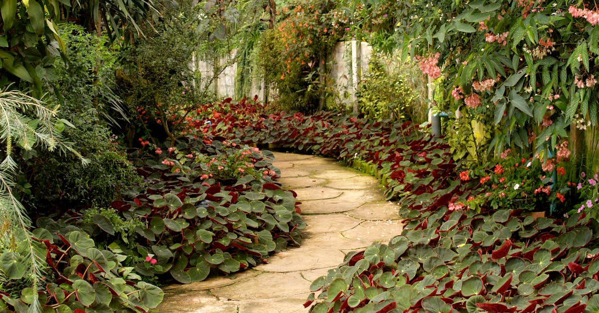 The Impact of Colour Temperature in Landscape Gardening