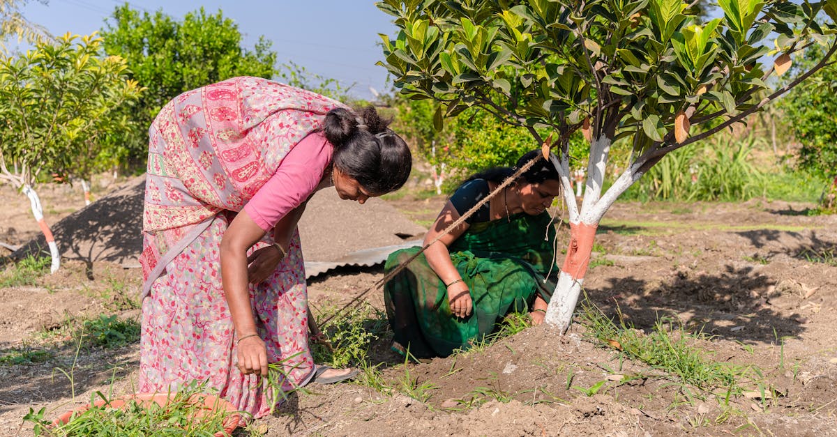 The Role of Repetition in Creating Visual Interest