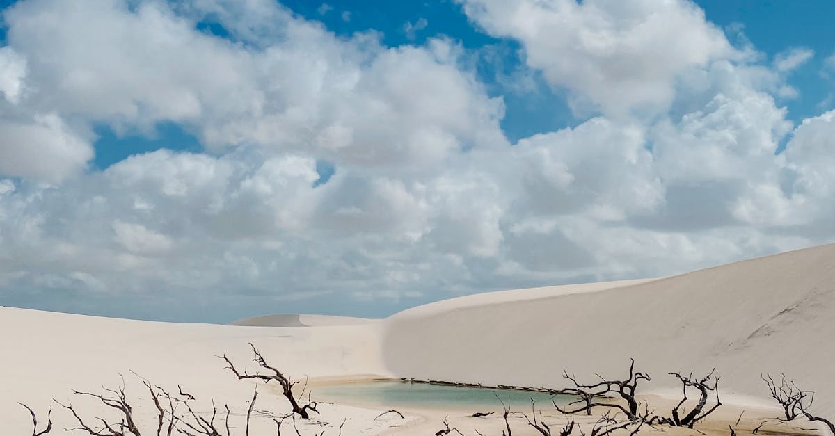 Understanding Proportion and Scale in Landscape Gardening