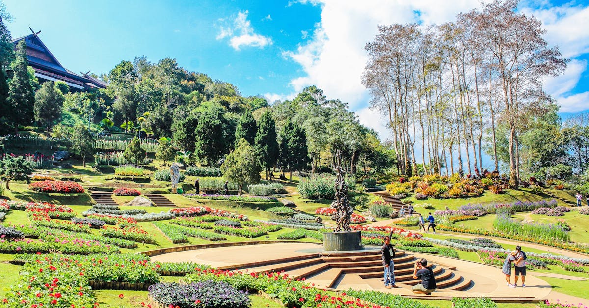 Using Colour to Define Spaces in Garden Layout